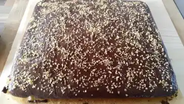 Saftiger Nuss Joghurt Blechkuchen W2xEX 2x