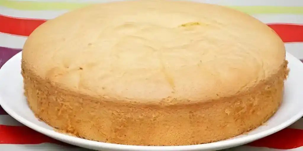 Superweicher Savoie-Kuchen mit Thermomix
