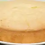 Superweicher Savoie-Kuchen mit Thermomix