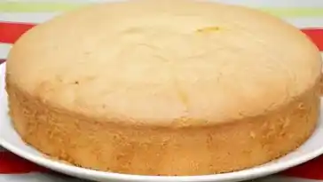 Superweicher Savoie-Kuchen mit Thermomix