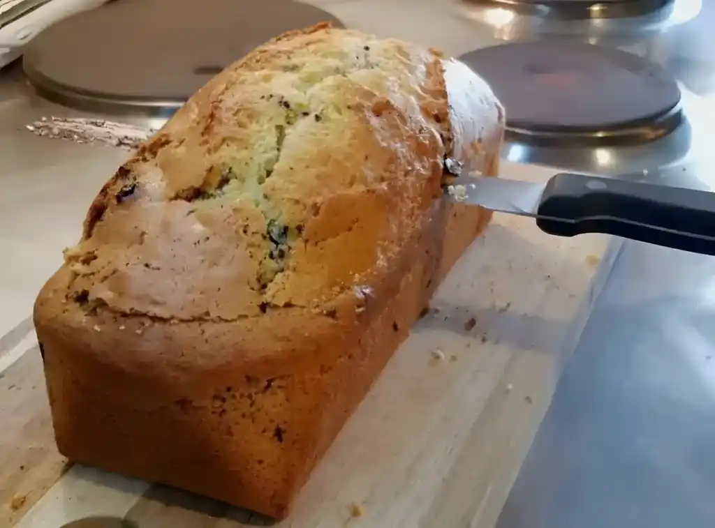 Kuchen mit Kokosnuss und dunkler Schokolade