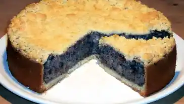Mohnkuchen Rezept waifu2x 2x jpg