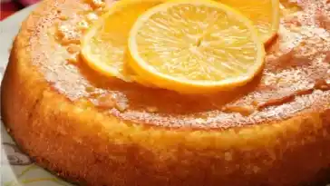 Rezept Orangenkuchen W2xEX 2x webp