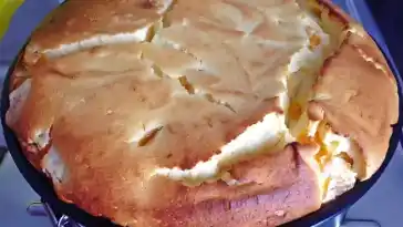 Saftiger Kaesekuchen mit Mandarinen W2xEX 2x