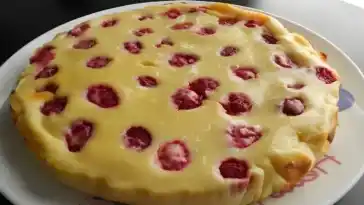 Schweizer und Himbeerkuchen W2xEX 2x webp