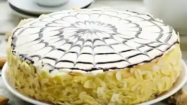 Tausendblattkuchen W2xEX 2x webp