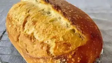 100 Jahr altes Hausbrot Rezept von Oma1