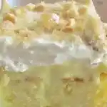 Bananen Puddingkuchen der suechtig macht1
