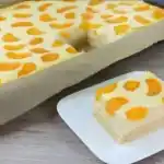 Blitz Kaesekuchen mit Mandarinen nur 450 g Quark und in 5 Minuten1