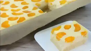 Blitz Kaesekuchen mit Mandarinen nur 450 g Quark und in 5 Minuten1