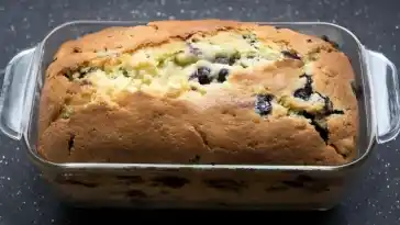 Italienischer Joghurtkuchen mit Heidelbeeren in 1 Stunde fertig gebacken1