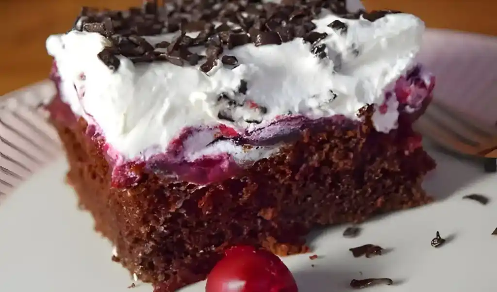 Schwarzwälder Puddingkuchen vom Blech mit 2 Gläser Sauerkirschen
