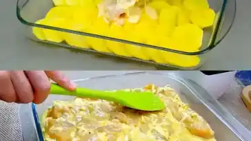Das backe ich jede Woche fur meine Familie Haehnchen Kartoffel Gratin W2xEX 2.5x
