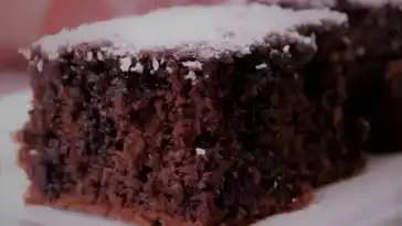 Express und leichter Schokoladenkuchen mit Thermomix W2xEX 2x webp