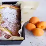 Fondant Aprikosenkuchen W2xEX 2x webp