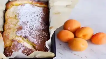 Fondant Aprikosenkuchen W2xEX 2x webp