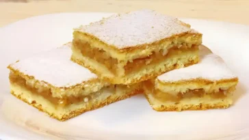 Grossmutters Apfelkuchen vom Blech wie ich ihn liebe1