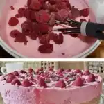 Himbeertorte in 10 Minuten zubereitet es werden nur 6 Zutaten gebraucht W2xEX 2.5x