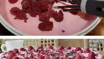 Himbeertorte in 10 Minuten zubereitet es werden nur 6 Zutaten gebraucht W2xEX 2.5x