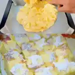 Jedes stueck zergeht im Mund Apfelkuchen in 10 Minuten im Ofen W2xEX 2.5x