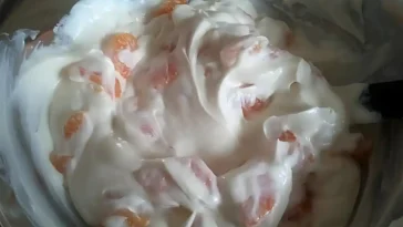 Mandarinen Pudding Nachtisch so lecker W2xEX 2.5x