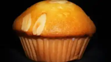 Puddingkuchen – Kuchen ohne Mehl W2xEX 2x