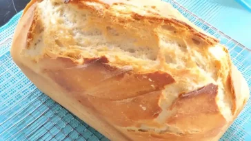 Superschnelles Friss dich dumm Brot in 5 Minuten ich kaufe nie wieder1