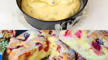 Blitz Kirschkuchen mit Vanillepudding und 1 Glas Sauerkirschen W2xEX 2.5x