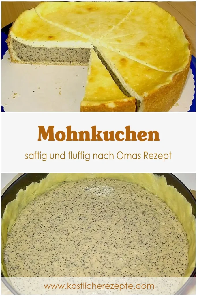 Der BESTE Mohnkuchen saftig und fluffig nach Omas Rezept 1 Der BESTE Mohnkuchen saftig und fluffig nach Omas Rezept