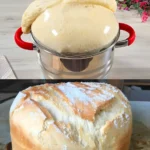 Friss dich dumm Brot in 5 Minuten nur 1 Stunde zugedeckt aufgehen lassen W2xEX 2.5x