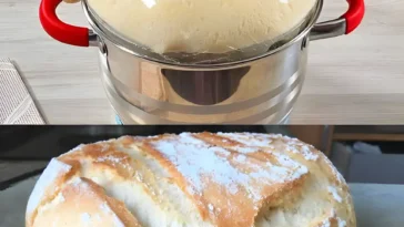 Friss dich dumm Brot in 5 Minuten nur 1 Stunde zugedeckt aufgehen lassen W2xEX 2.5x