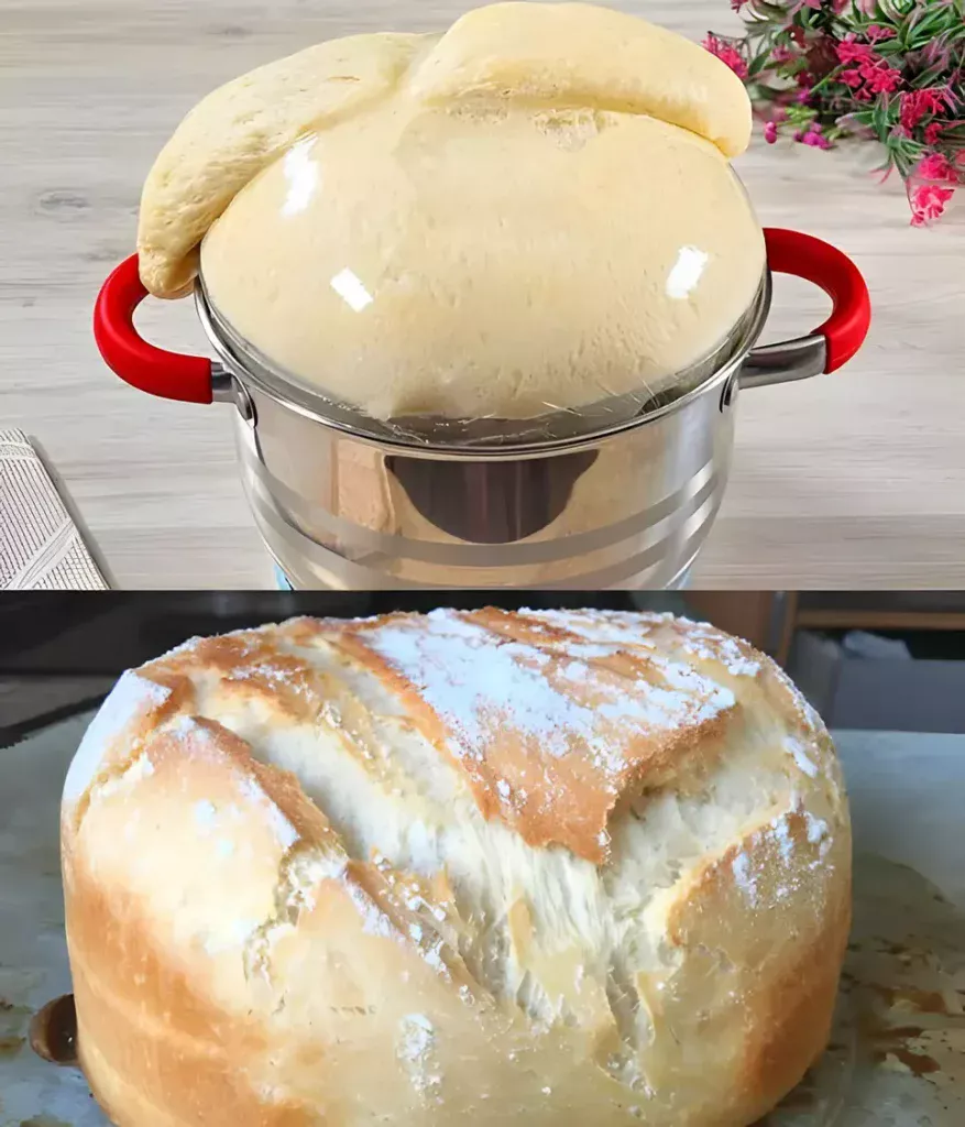 Friss dich dumm Brot in 5 Minuten nur 1 Stunde zugedeckt aufgehen lassen
