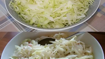 Krautsalat schmeckt wirklich wie im griechischen Restarurant W2xEX 2.5x