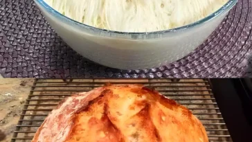 Meine Familie will kein gekauftes Brot mehr essen Brot ohne Kneten W2xEX 2.5x