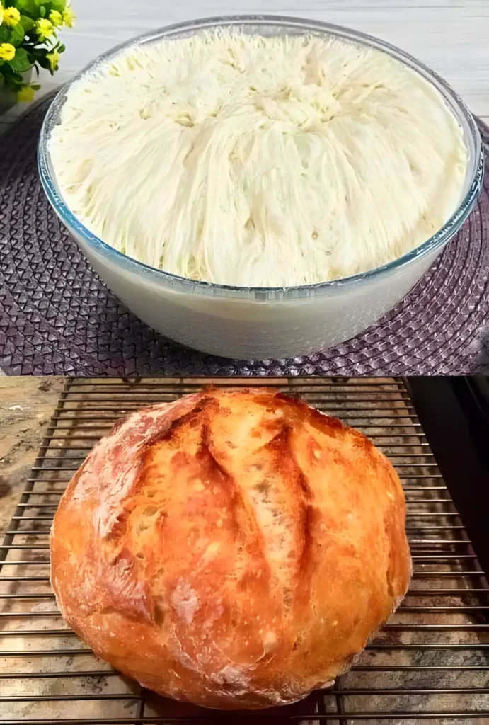 Meine Familie will kein gekauftes Brot mehr essen, Brot ohne Kneten