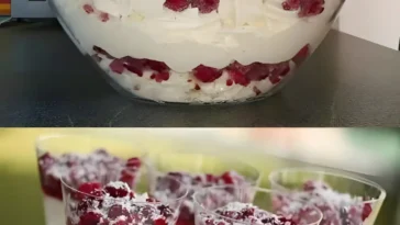 Schneegestoeber mit 250 g Magerquark in 3 Minuten zubereitet W2xEX 2.5x