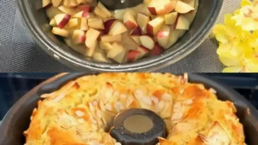 Apfel Zimt Schichtkuchen W2xEX 2.5x