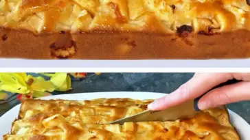 Apfelkuchen mit vielen Aepfeln lecker W2xEX 2.5x Q99