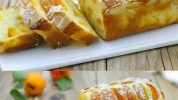 Aprikosen Joghurt Kuchen ultraweich W2xEX 2.5x