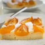 Aprikosen Joghurt Kuchen W2xEX 2.5x Q99