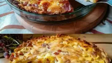 Bodenloser Zwiebelkuchen W2xEX 2.5x