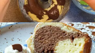 Den konnte ich jeden Tag essen Omas Lieblings Marmorkuchen W2xEX 2.5x Q99
