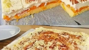 Der einfachste Kuchen der Welt Biskuit Mandarinenkuchen vom Blech Weltklasse W2xEX 2.5x