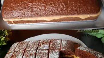 Der weichste Kuchen der Welt Er schmilzt auf der Zunge unglaublich lecker. W2xEX 2.5x