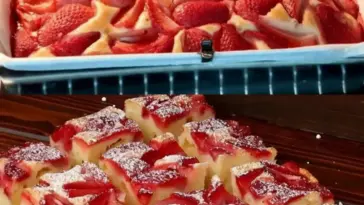 Erdbeer Joghurtkuchen W2xEX 2.5x
