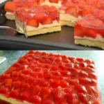 Erdbeerkuchen mit Schmand – Vanillecreme W2xEX 2.5x