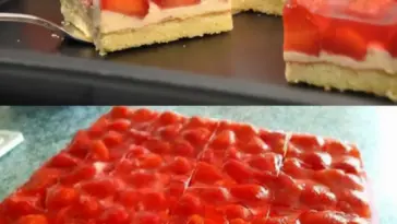 Erdbeerkuchen mit Schmand – Vanillecreme W2xEX 2.5x