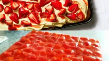 Erdbeerkuchen mit Vanillecreme ich kann gar nicht mehr aufhoeren mit naschen W2xEX 2.5x Q99