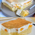 Fantakuchen mit Mandarinen Schmand W2xEX 2.5x Q99