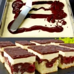 Fantastische Donauwelle das Original Rezept von Oma W2xEX 2.5x